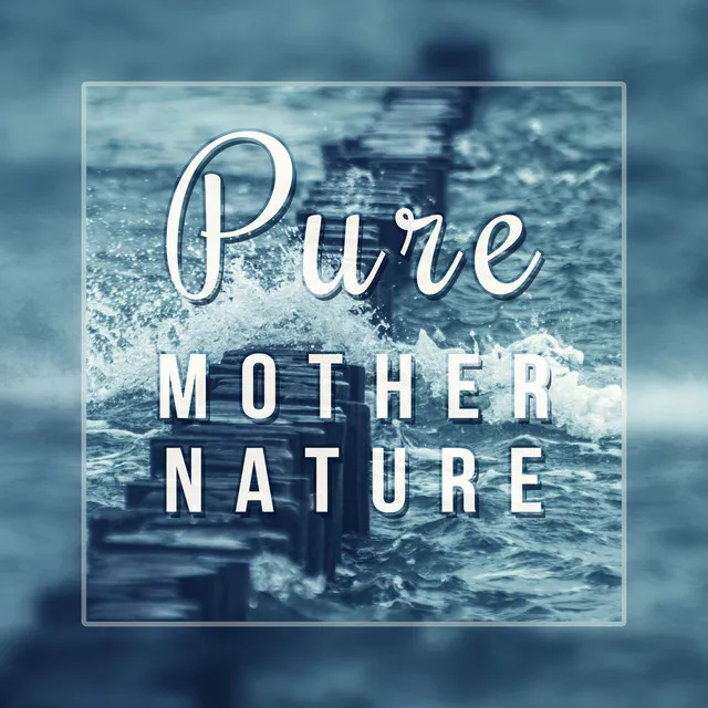 Pure Mother Nature - Gentle Sea, Healing Nature Music, Walk by the Sea, Sounds from the Seas