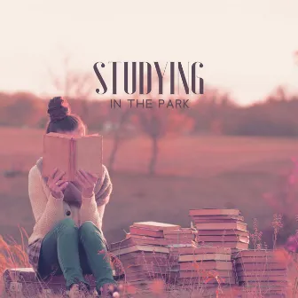 Studying In The Park: Relaxing Music And Nature Sounds To Focus, Concentrate, Ease Your Mind by Unknown Artist