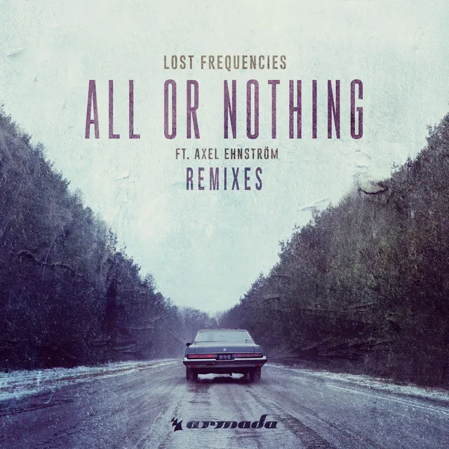 All or Nothing (feat. Axel Ehnström) - Who Knows Remix