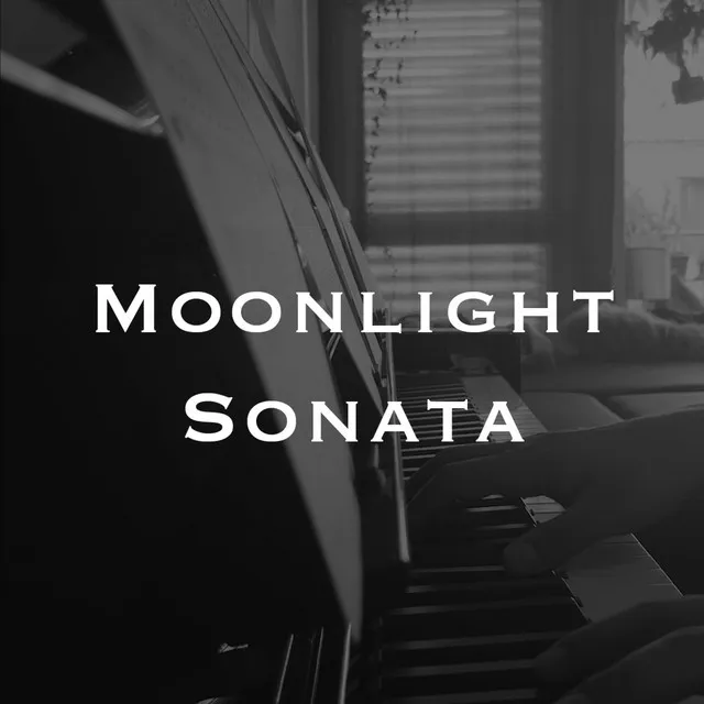 Moonlight Sonata (Cover by Jouns)