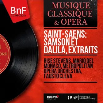 Saint-Saëns: Samson et Dalila, extraits (Mono Version) by Rise Stevens