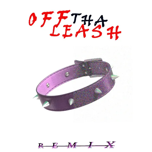 OFF THA LEASH! - REMIX