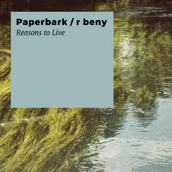 Reasons to Live by r beny