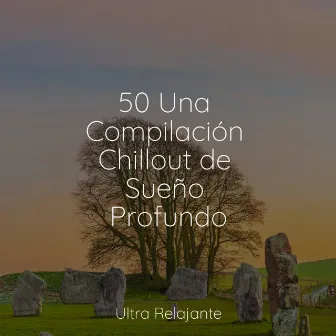 50 Una Compilación Chillout de Sueño Profundo by Sonidos de la Naturaleza para Dormir