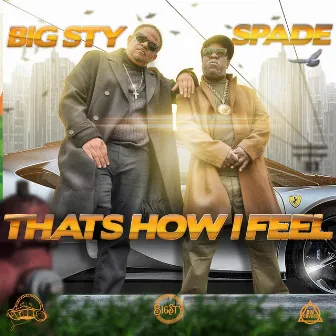 That's How I Feel by Big Sty