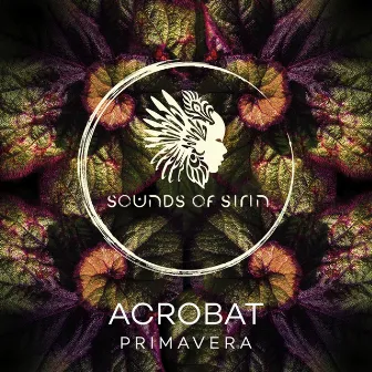 Primavera by Acrobat