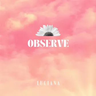 Observe by LUCIANA