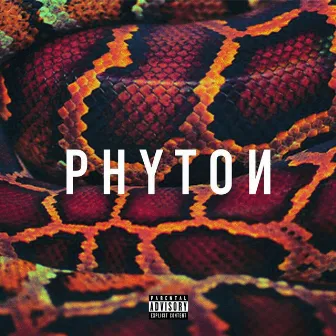 Phyton by Lian