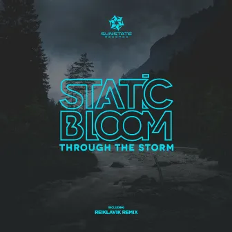 Through the Storm by Static Bloom