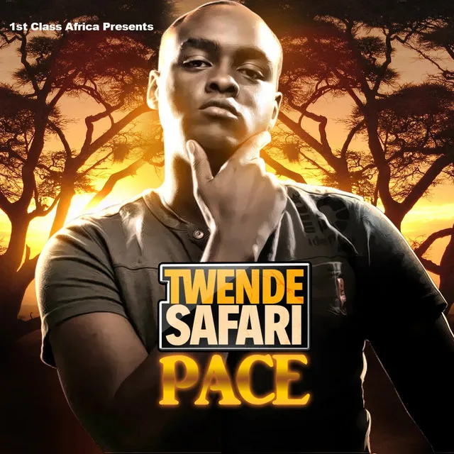 Twende Safari (1St Class Africa Presents)