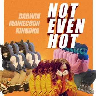 Not Even Hot by Darwin x Mainecoon