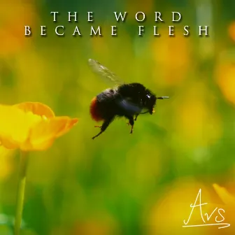 The Word became flesh by AVS