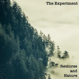 Remorse and Nature by The Experiment