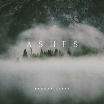 Ashes by Bracha Jaffe