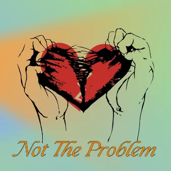 Not the Problem by Alin Hagen