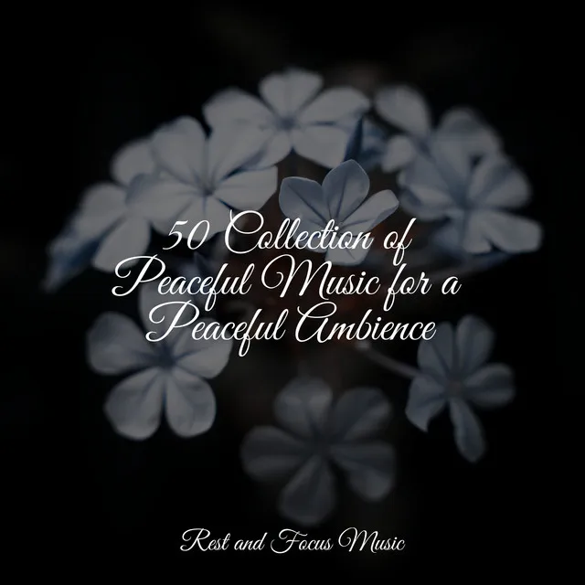 50 Collection of Peaceful Music for a Peaceful Ambience