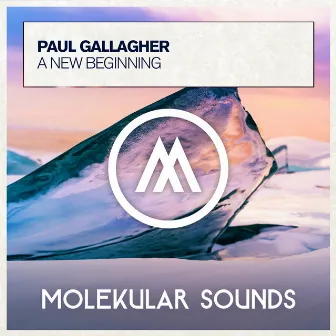 A New Beginning by Paul Gallagher