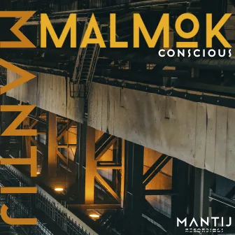 Conscious by Malmok