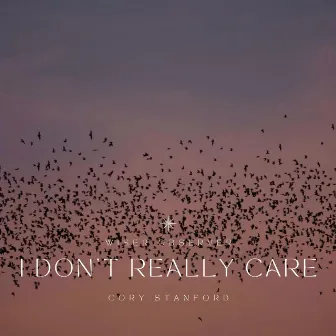 I Don't Really Care by Wiser Observer