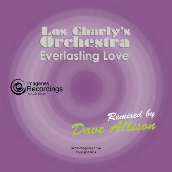 Everlasting Love (Dave Allison Remix) by Dave Allison