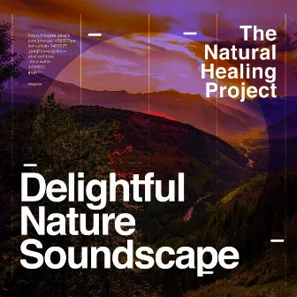 Delightful Nature Soundscape by The Natural Healing Project