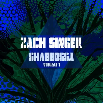 Shabbossa Volume 1 by Zach Singer