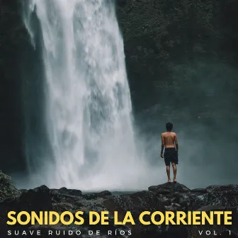 Sonidos De La Corriente: Suave Ruido De Ríos Vol. 1 by Hora de música de spa