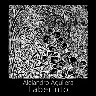 Laberinto by Alejandro Aguilera