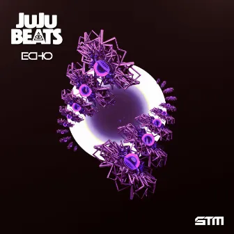 Echo by JuJu Beats