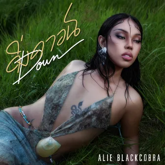 ดิ่งดาวน์ (DOWN) by ALIE BLACKCOBRA