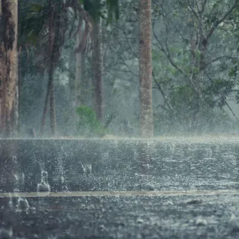 Gentle Showers and Angry Thunderstorms by Ambiente de Tormenta