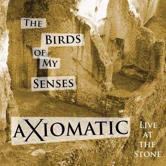 Axiomatic Live at the Stone - the Birds of My Senses by Mark Daterman