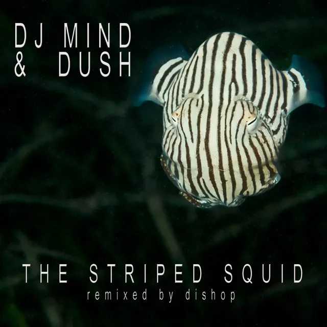 The Striped Squid - Dishop Remix