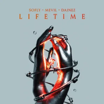 Lifetime by Dainez