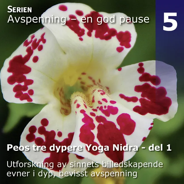 Peos Tre Dypere Yoga Nidra Avspenninger, Del 1