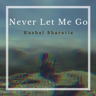 Never Let Me Go by Kushal Bharatia