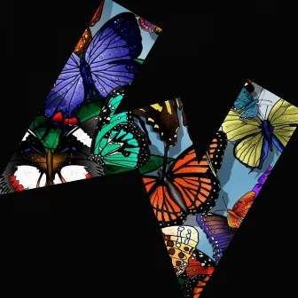 Mariposas by José de los Santos