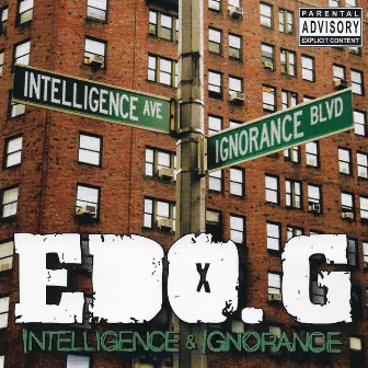 Intelligence & Ignorance by Edo. G