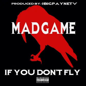 If You Don't Fly by Mad Game