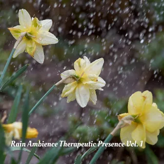 Rain Ambience Therapeutic Presence Vol. 1 by Rain Sounds FX