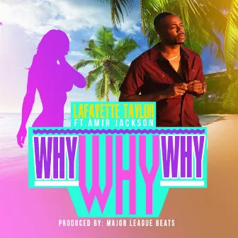 Why Why Why by Lafayette Taylor