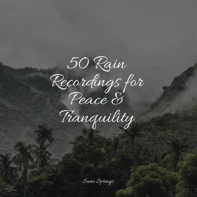 50 Rain Recordings for Peace & Tranquility