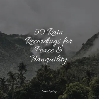 50 Rain Recordings for Peace & Tranquility by Water Spa