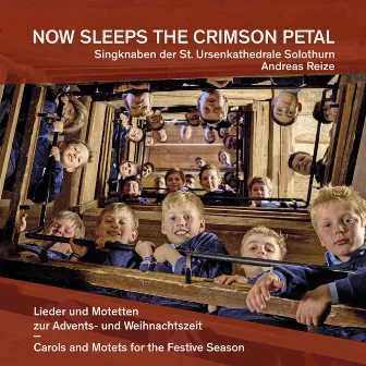 Now Sleeps the Crimson Petal (Carols and Motets for the Festive Season) by Singknaben der St. Ursenkathedrale Solothurn