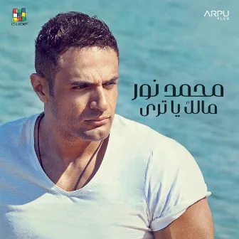 Malek Ya Tara by Mohamed Nour