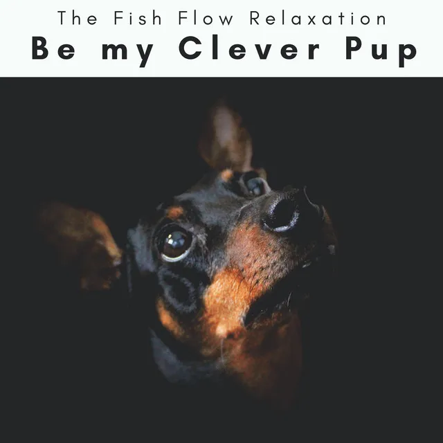 4 Paws: Be my Clever Pup