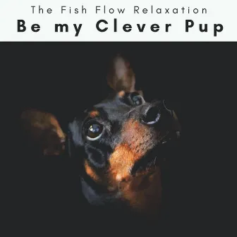 4 Paws: Be my Clever Pup by The Fish Flow Relaxation