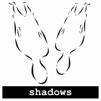 Shadows by Neon Radiation