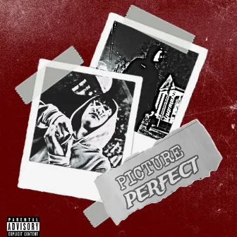 Picture Perfect by Paradise Drip