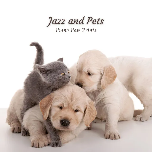 Jazz and Pets: Piano Paw Prints